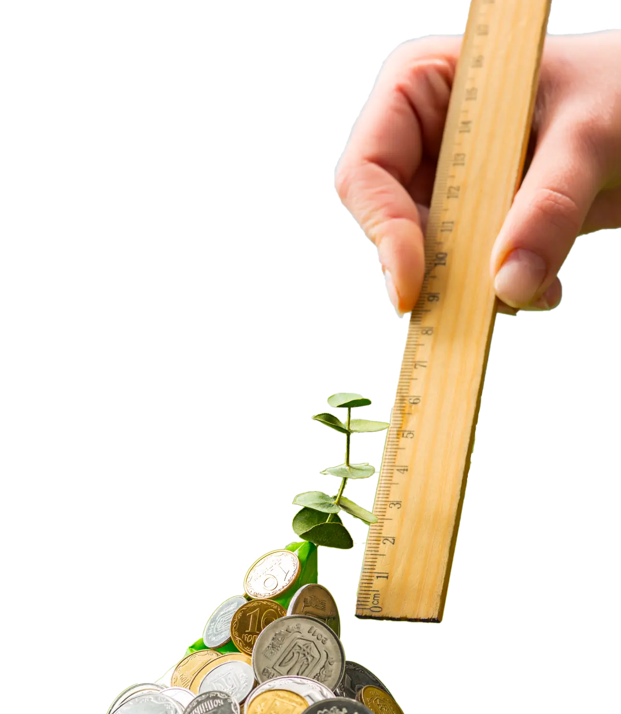 Vizualizare costuri cultură